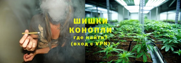 трава Беломорск
