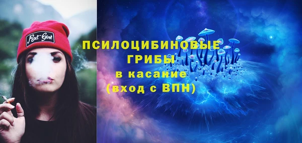 трава Беломорск