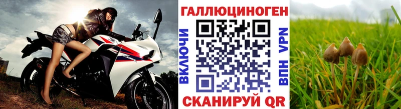 Галлюциногенные грибы Cubensis  закладки  Надым 